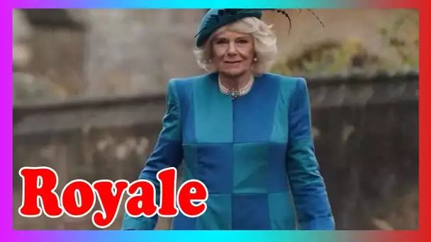 Camilla s'ouvre sur les c@deaux de Noël pour les petits enfants dans un chat franc