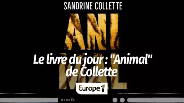 Le livre du jour - "Animal", de Sandrine Colette