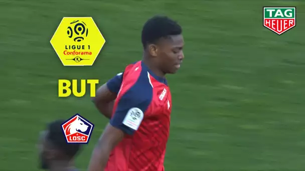 But Rafael LEAO (62') / FC Nantes - LOSC (2-3)  (FCN-LOSC)/ 2018-19