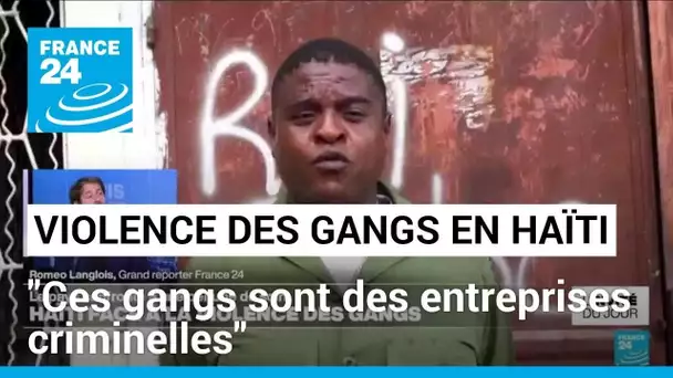 Haïti face à la violence des gangs : "Ces gangs sont des entreprises criminelles" • FRANCE 24