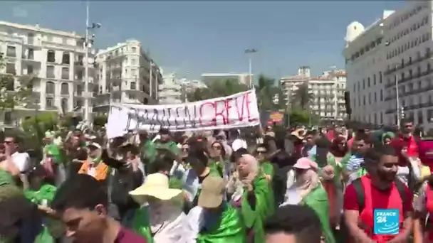 Transition en Algérie : les étudiants et les enseignants dans les rues d'Alger