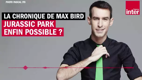 Jurassic Park enfin possible ? La chronique de Max Bird