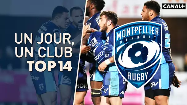 Un jour, un club TOP 14 - Montpellier Hérault Rugby