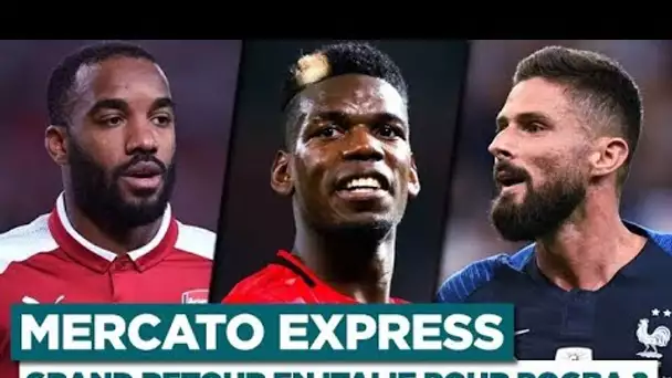 WEB MERCATO EXPRESS 150120