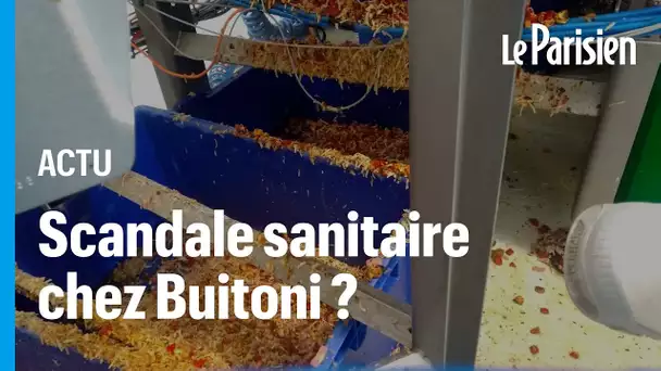 Pizzas Buitoni contaminées : un reportage d’«Envoyé spécial» dévoile des  images choc