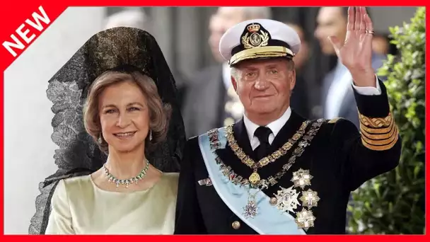 ✅  Exil de Juan Carlos : la grande « tristesse » de la reine Sofia