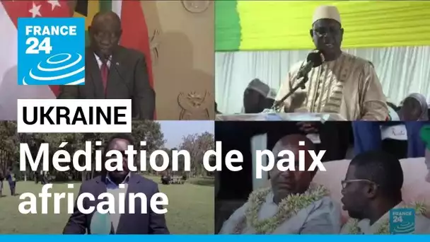 Médiation pour l'Ukraine : le président sud-africain et d'autres dirigeants africains à Boutcha