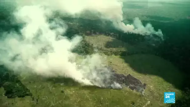 Journée des forêts tropicales - Amazonie : vers un point de non retour ?