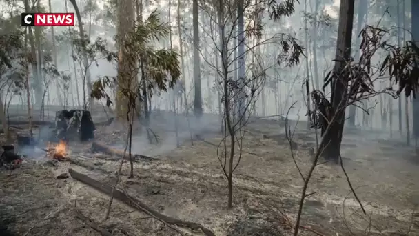 Après les incendies, l'Australie touchée par les inondations