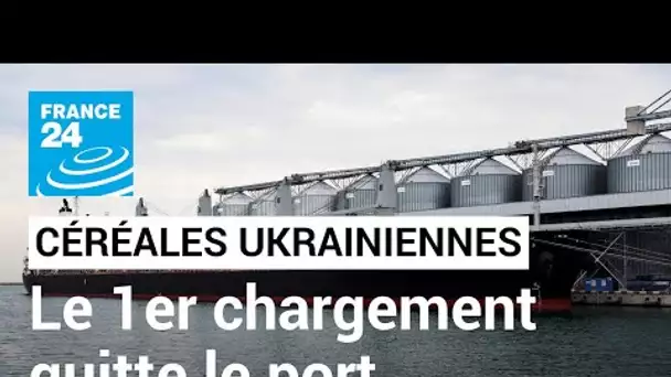 En direct : le premier chargement de céréales ukrainiennes a quitté le port d'Odessa • FRANCE 24