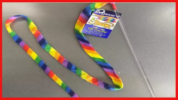 Rainbow Cat Charmer, Durable and Safe, 1 Count