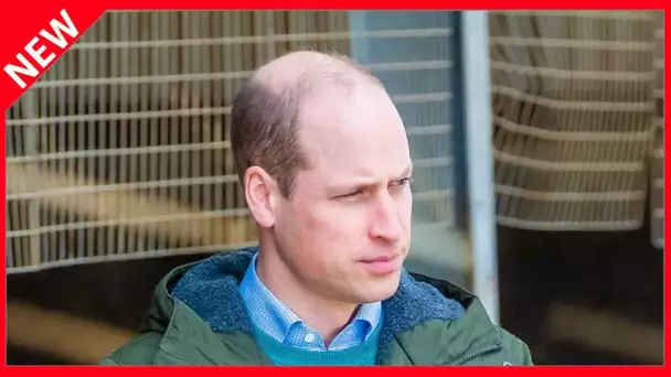 ✅  Le prince William “pas pressé d’être roi” : l’émouvante raison