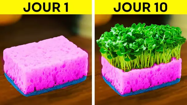 ASTUCES UTILES DE JARDINAGE POUR L'ÉTÉ