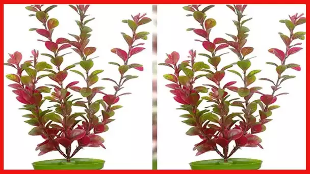 Marina Aquascaper Fish Tank Decorations, Red Ludwigia Plant, 12-Inch