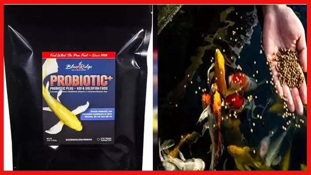 Blue Ridge Fish Food, Probiotic Plus 3/16" Floating Pellet, Koi and Goldfish