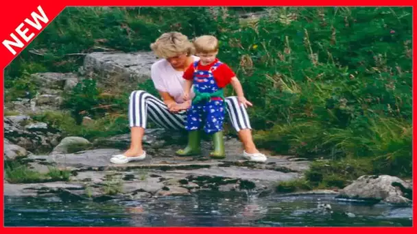 ✅  Lady Di “irresponsable” avec ses fils William et Harry ? Comment elle les a mis en danger