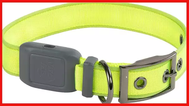 Nite Ize NiteDog Rechargeable LED Collar, USB Rechargeable Light Up Dog Collar w/Metal Buckle, Water