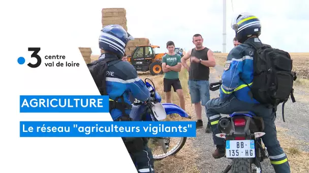 Agriculture : mise en place du réseau "agriculteurs vigilants" pour lutter contre les vols