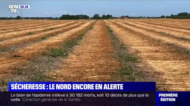 Sécheresse en France: cet agriculteur a perdu près de 30% de sa récolte