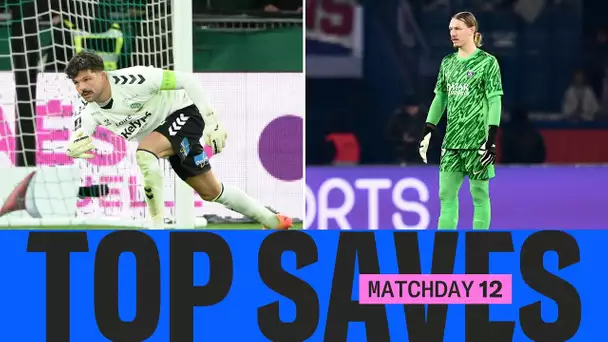 Les plus BEAUX ARRÊTS de la 12ème journée | Ligue 1 McDonald's 24/25