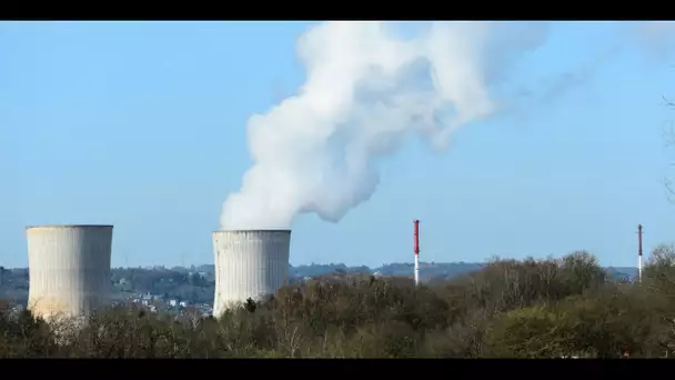 Électricité : black-out, délestage... Qui est concerné, de quoi parle-t-on ?