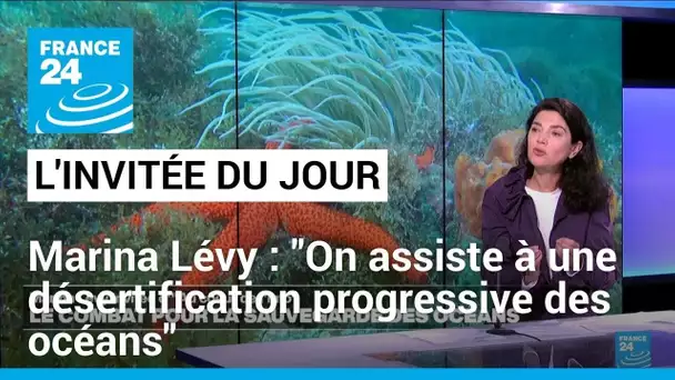 Marina Lévy: "On assiste à une désertification progressive des océans" • FRANCE 24