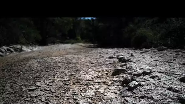 Restrictions d'eau et incendies : les effets de la sécheresse