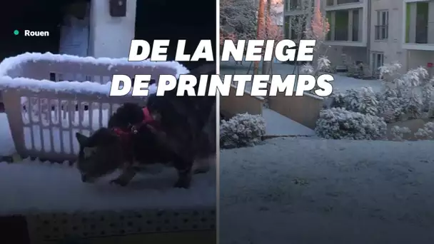 De la neige couvre une partie du Nord de la France en plein avril