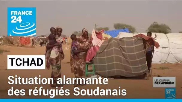 Réfugiés Soudanais au Tchad : situation de plus en plus alarmante • FRANCE 24