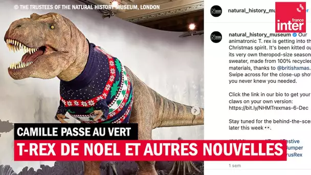 Un T-Rex de Noël et autres nouvelles