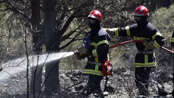 Comment fonctionnera la «météo des forêts», ce nouvel outil de prévention des incendies