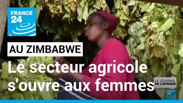 Au Zimbabwe, le secteur agricole s'ouvre de plus en plus aux femmes • FRANCE 24