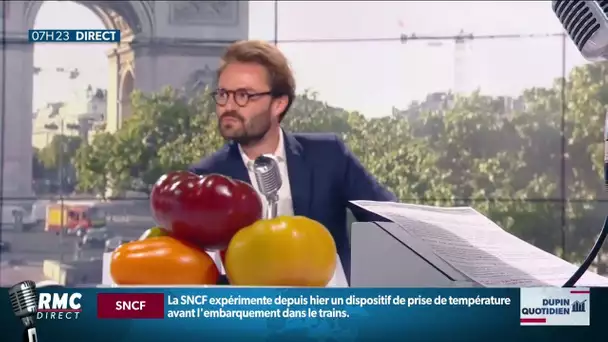 Tout sur la tomate