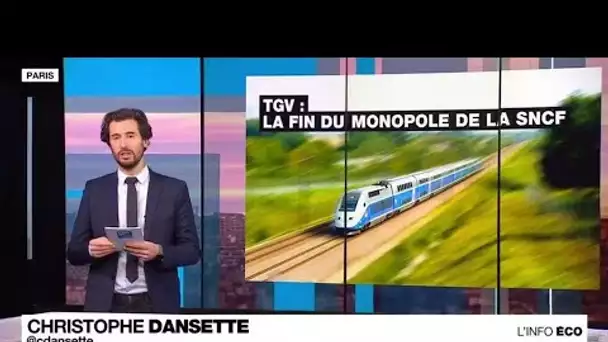 France : la compagnie Trenitalia lance ses trains à grande vitesse sur la ligne Paris-Lyon