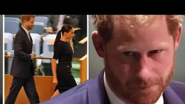 Le prince Harry prêt à dévoiler un "côté" différent alors que le retard du livre fait allusion à une