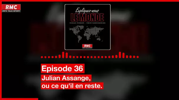 Expliquez-nous le monde - Episode 36 : Julian Assange, ou ce qu’il en reste