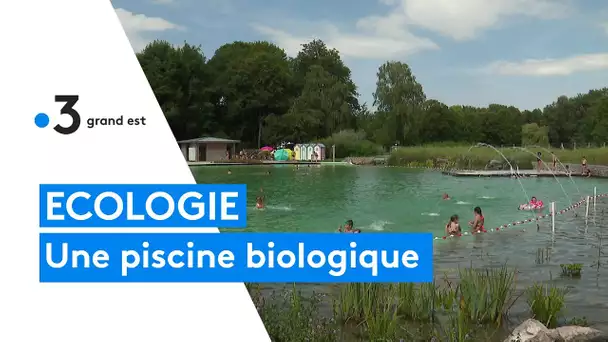 Découverte de la piscine biologique de Connantre dans la Marne