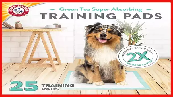 Arm & Hammer Green Tea Pet Training Pads