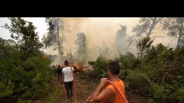 Incendies de la Calabre à la Sibérie, la fumée des feux de forêt atteint le pôle Nord