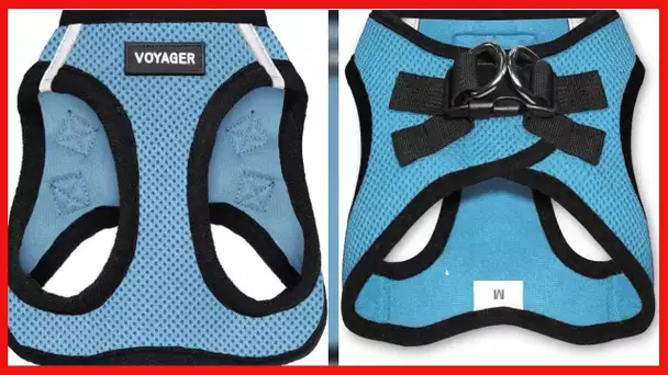 Voyager Step-In Air Dog Harness - All Weather Mesh Step in Vest Harness for Small and Medium Dogs