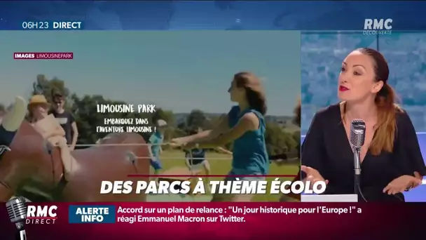 Le premier parc d'attractions spécial vaches limousines ouvre ses portes !