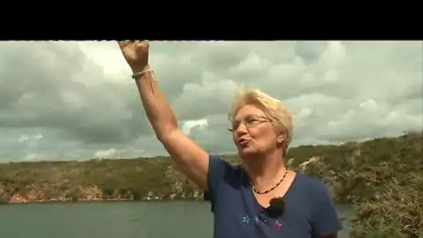 A Brétignolles-sur-Mer, les naturalistes s'indignent contre l'assèchement d'une carrière (Août 2019)