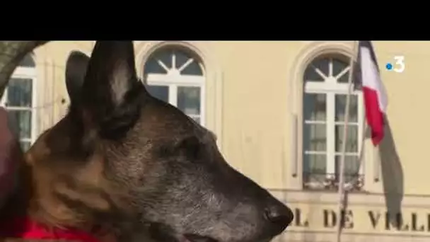 Manifestation de soutien à Mouans-Sartoux pour deux jeunes loups enlevés à un couple d'habitants