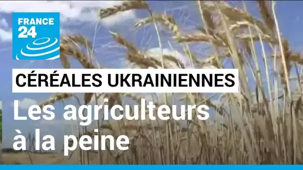 Céréales ukrainiennes : les agricultures peinent à écouler leur production • FRANCE 24