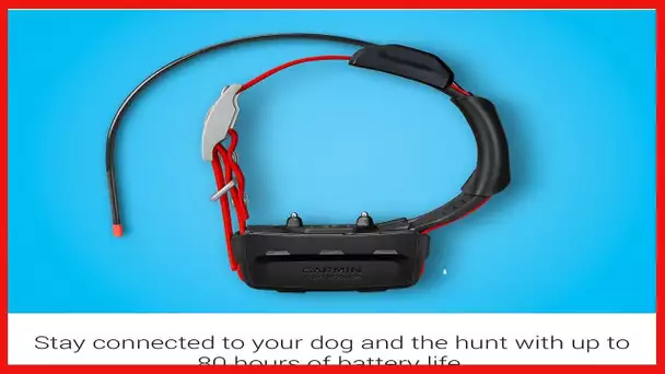 TT™ 15X Dog Device, Tracking and Training Dog Device with Collar, 18 Levels of Stimulation, Rugged