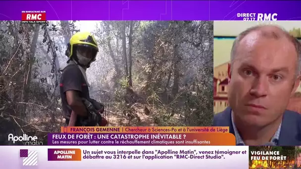 "Toutes les forêts du pays sont vulnérables" pour François Gemenne, auteur principal du GIEC