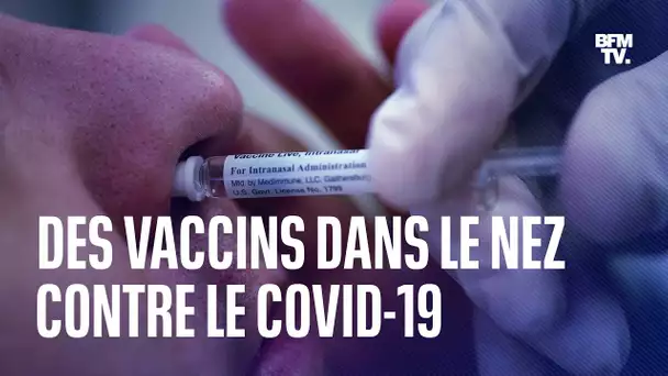 Covid-19: comment marche le vaccin nasal ?