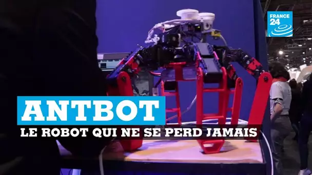 Voici Antbot, le robot qui ne se perd jamais