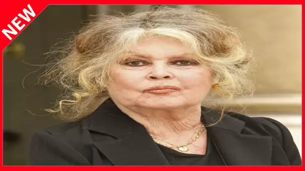 ✅  Brigitte Bardot présente ses excuses après avoir crié à l’escroquerie