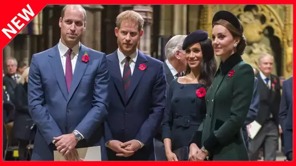 ✅  William et Harry : pourquoi la reine a décidé de les séparer aux obsèques de Philip